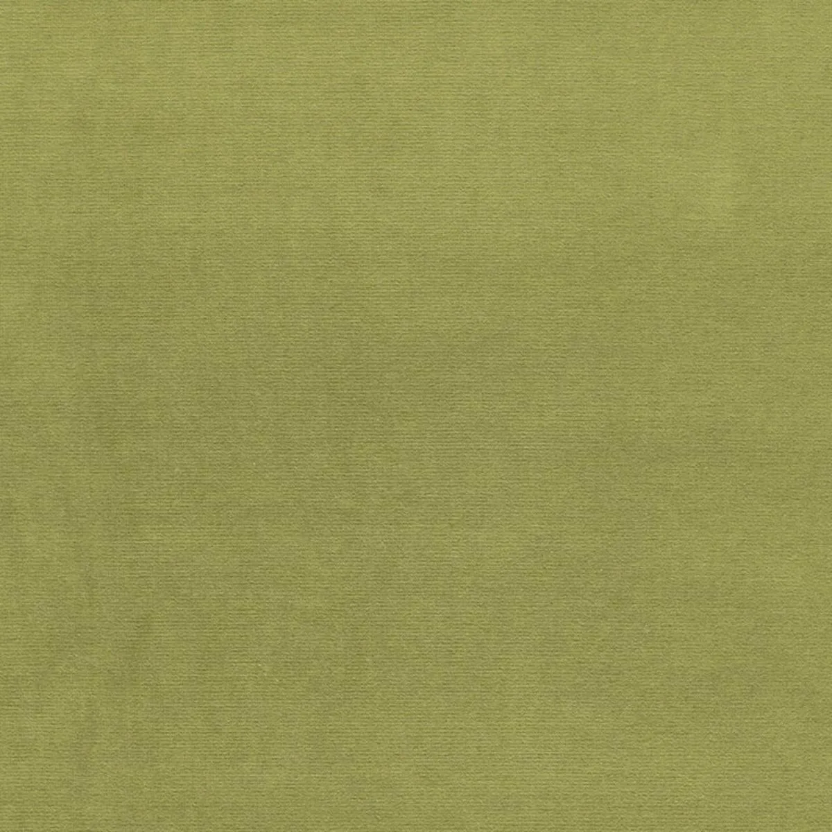 Schumacher 43258 Gainsborough Velvet Palm fabric swatch