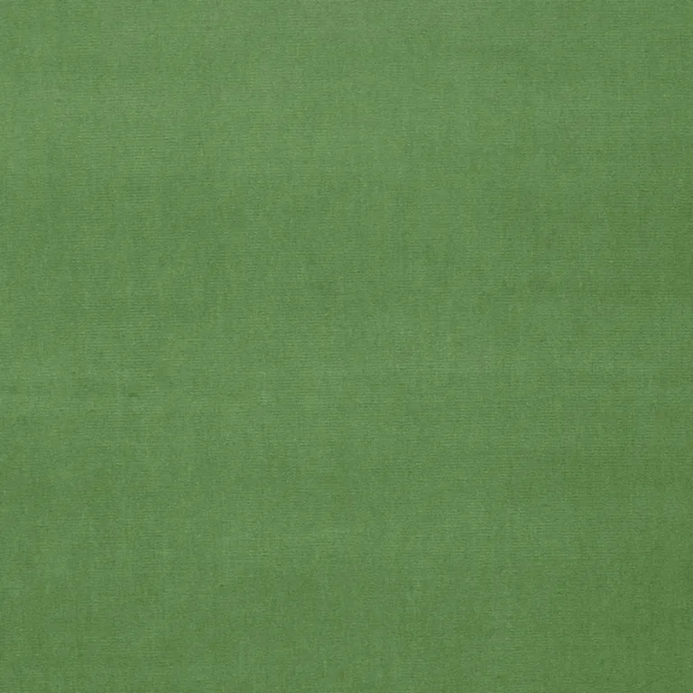 Schumacher 42876 Gainsborough Velvet Parrot fabric swatch