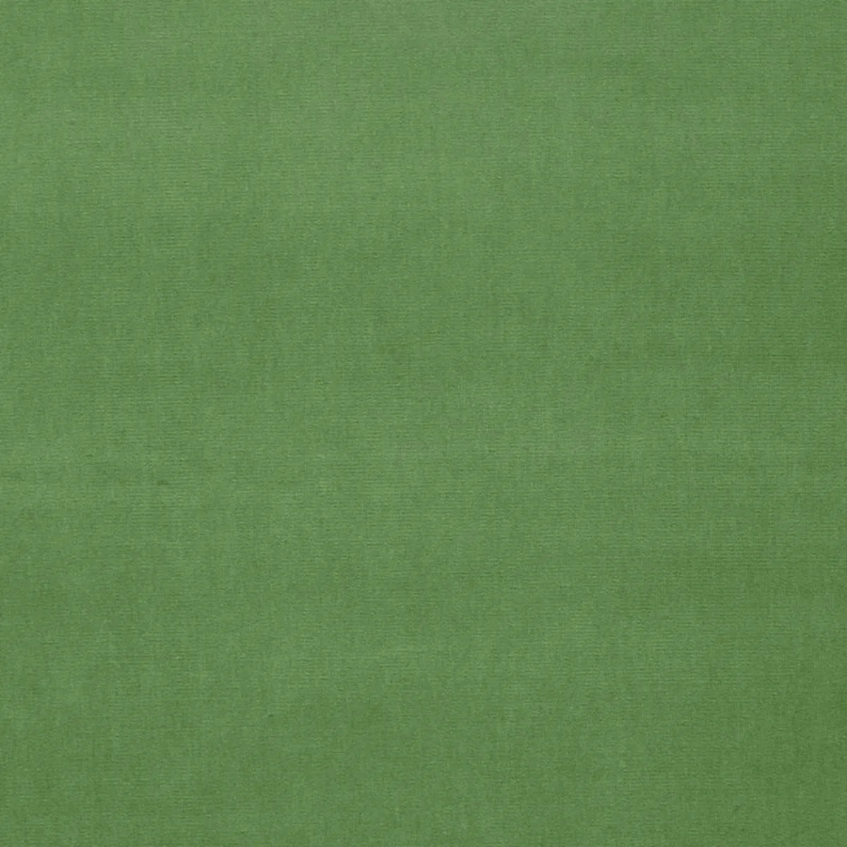 Schumacher 42876 Gainsborough Velvet Parrot fabric swatch