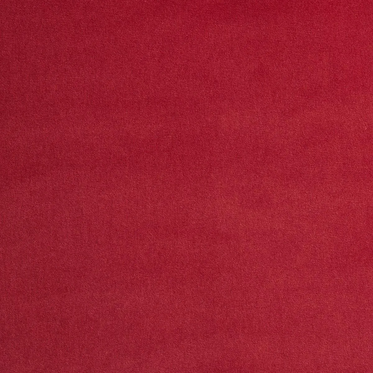 Schumacher 64573 Gainsborough Velvet Peony fabric swatch