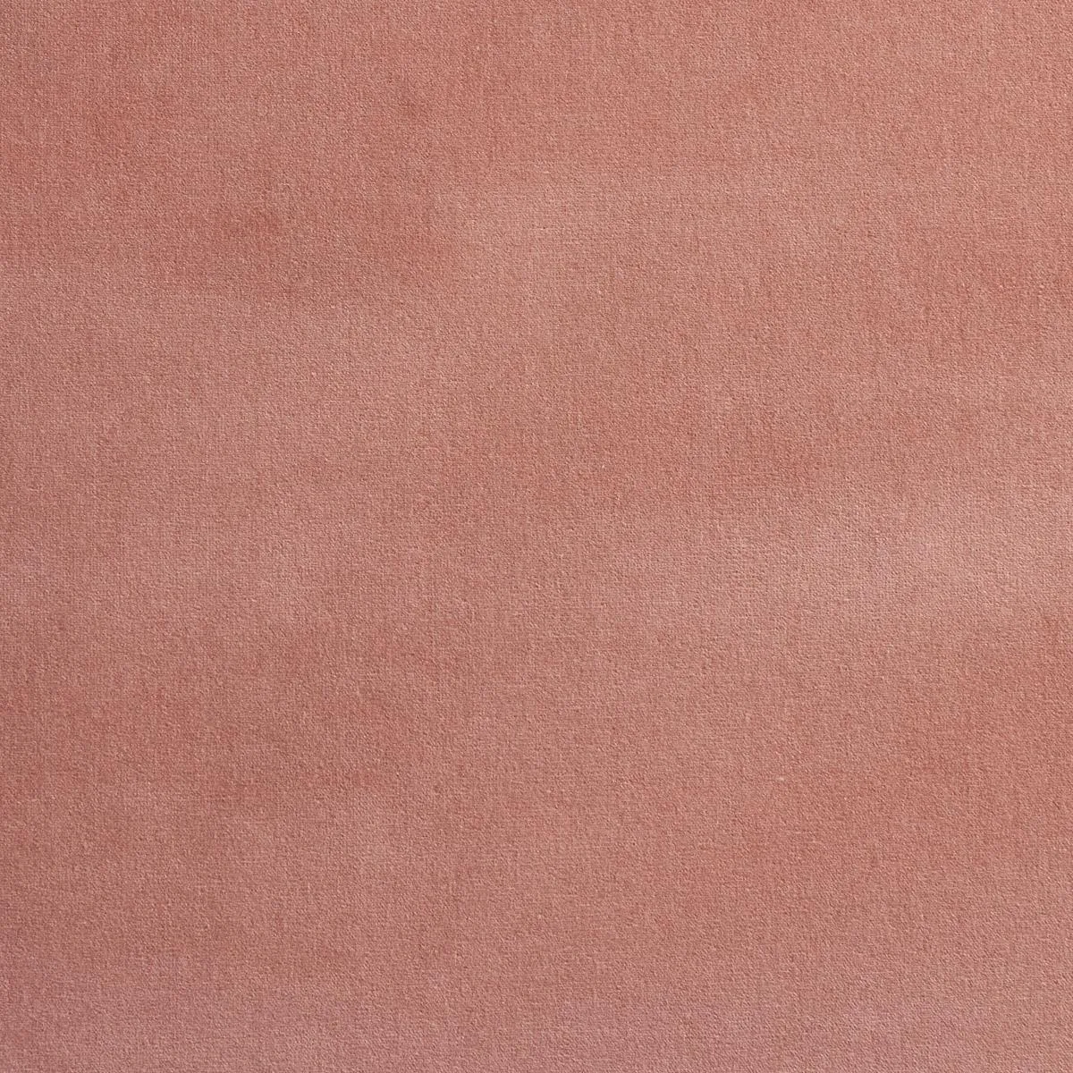 Schumacher 42705 Gainsborough Velvet Petal fabric swatch