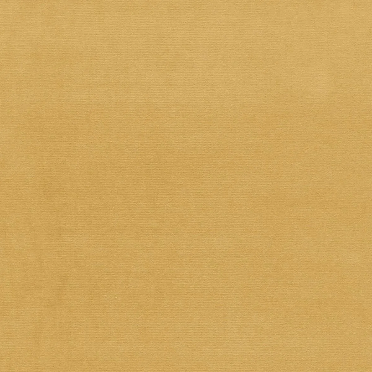 Schumacher 43247 Gainsborough Velvet Sesame fabric swatch