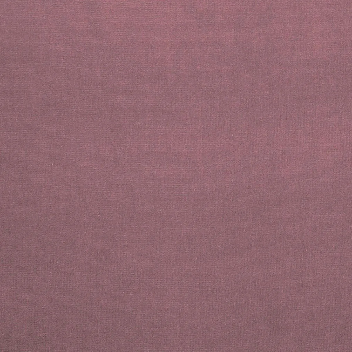 Schumacher 42729 Gainsborough Velvet Tulipwood fabric swatch