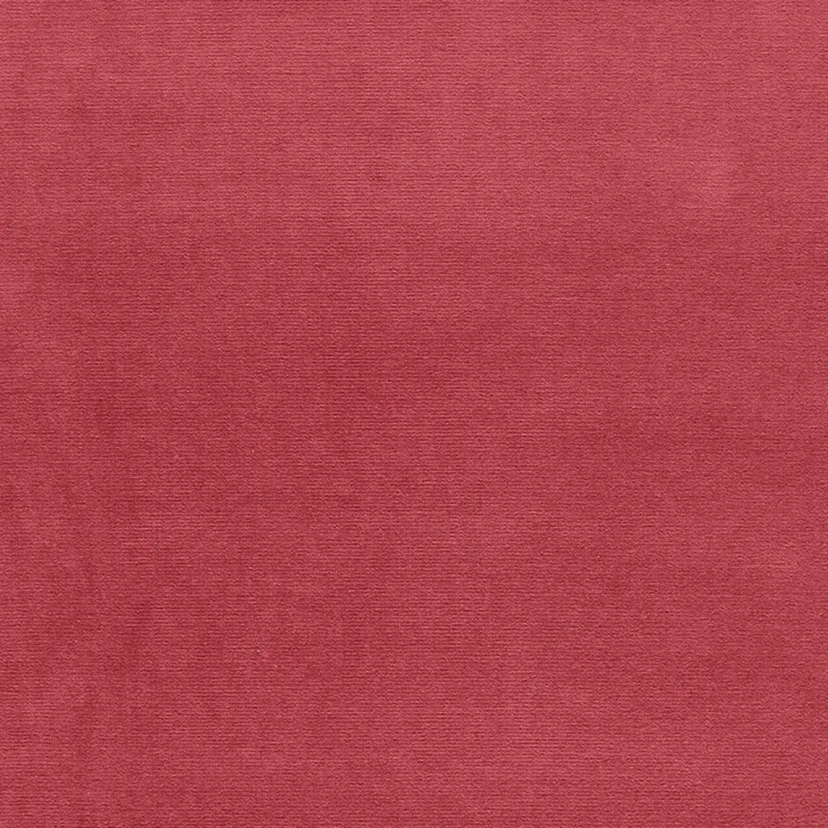 Schumacher 42726 Gainsborough Velvet Woodrose fabric swatch