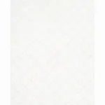 Schumacher 67180 Gemma Sheer Blanc fabric swatch