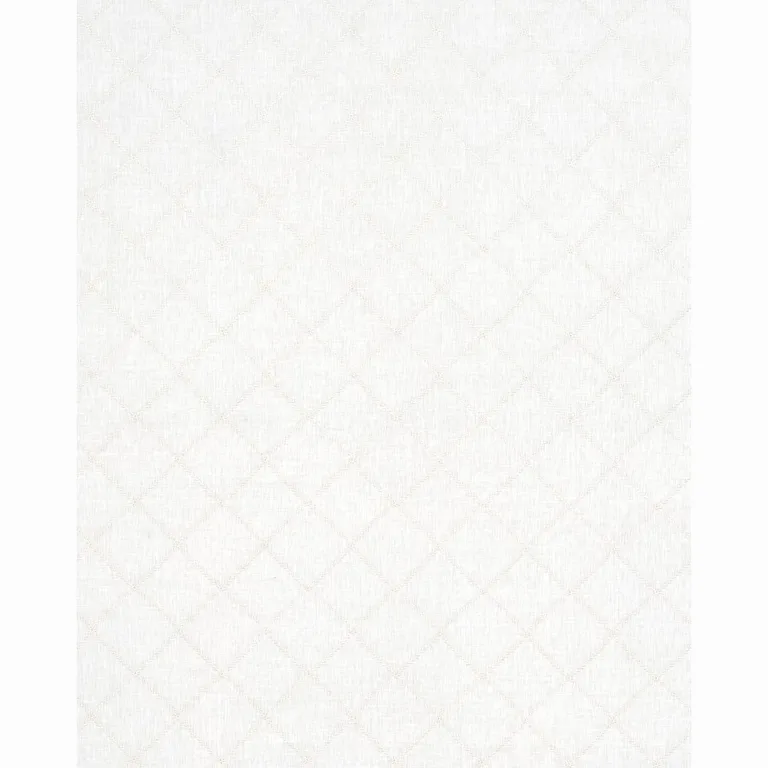 Schumacher 67180 Gemma Sheer Blanc fabric swatch