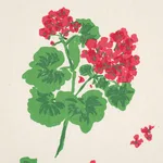 Schumacher TL400021 Geranium Red On Natural fabric swatch