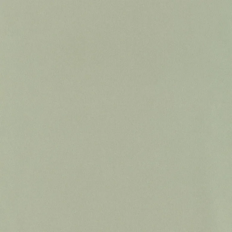 Schumacher 63972 Giordano Taffeta Celadon fabric swatch