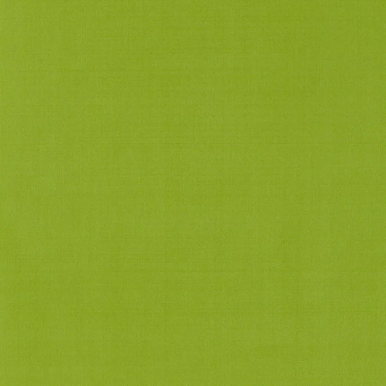 Schumacher 63969 Giordano Taffeta Lime fabric swatch