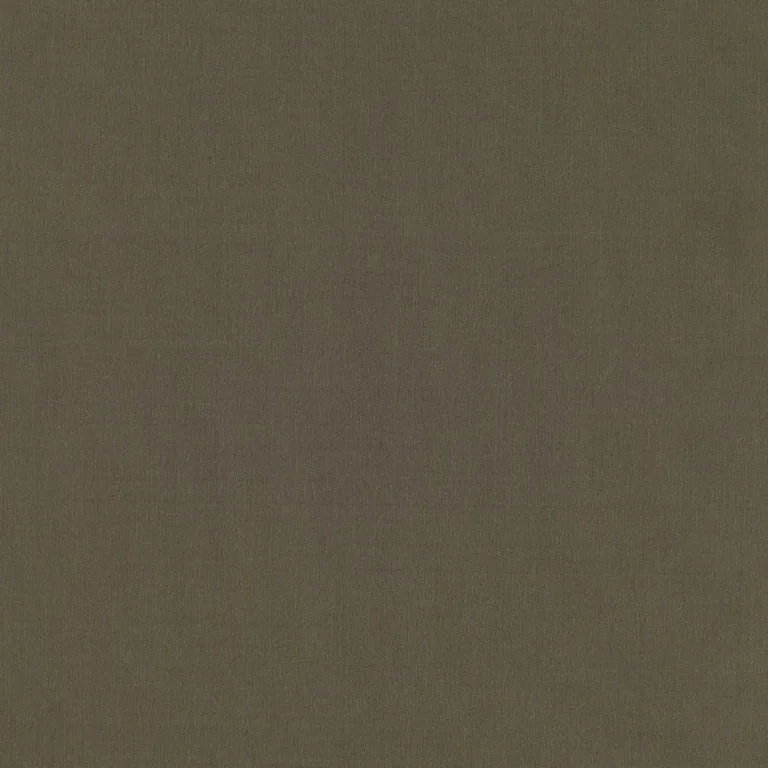 Schumacher 63936 Giordano Taffeta Malt fabric swatch