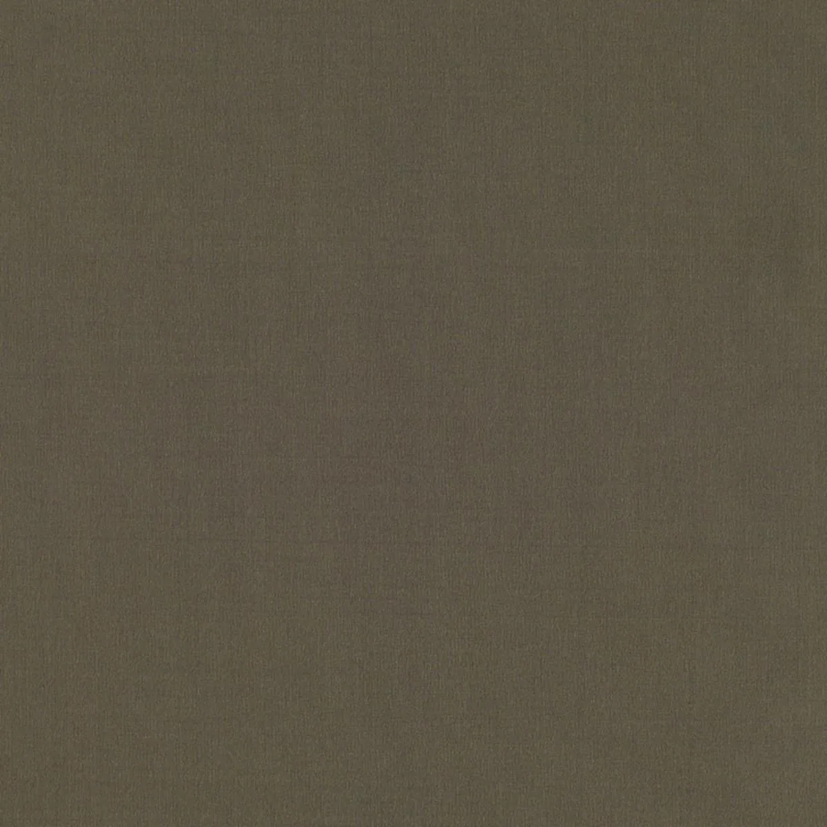 Schumacher 63936 Giordano Taffeta Malt fabric swatch