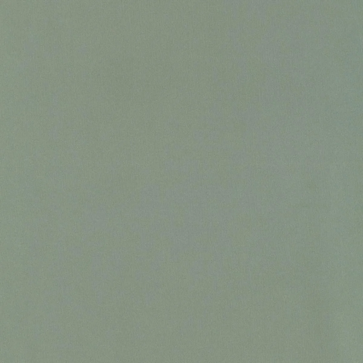Schumacher 63965 Giordano Taffeta Spanish Moss fabric swatch