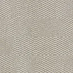 Schumacher 69680 Giorgio Sheer Platinum fabric swatch
