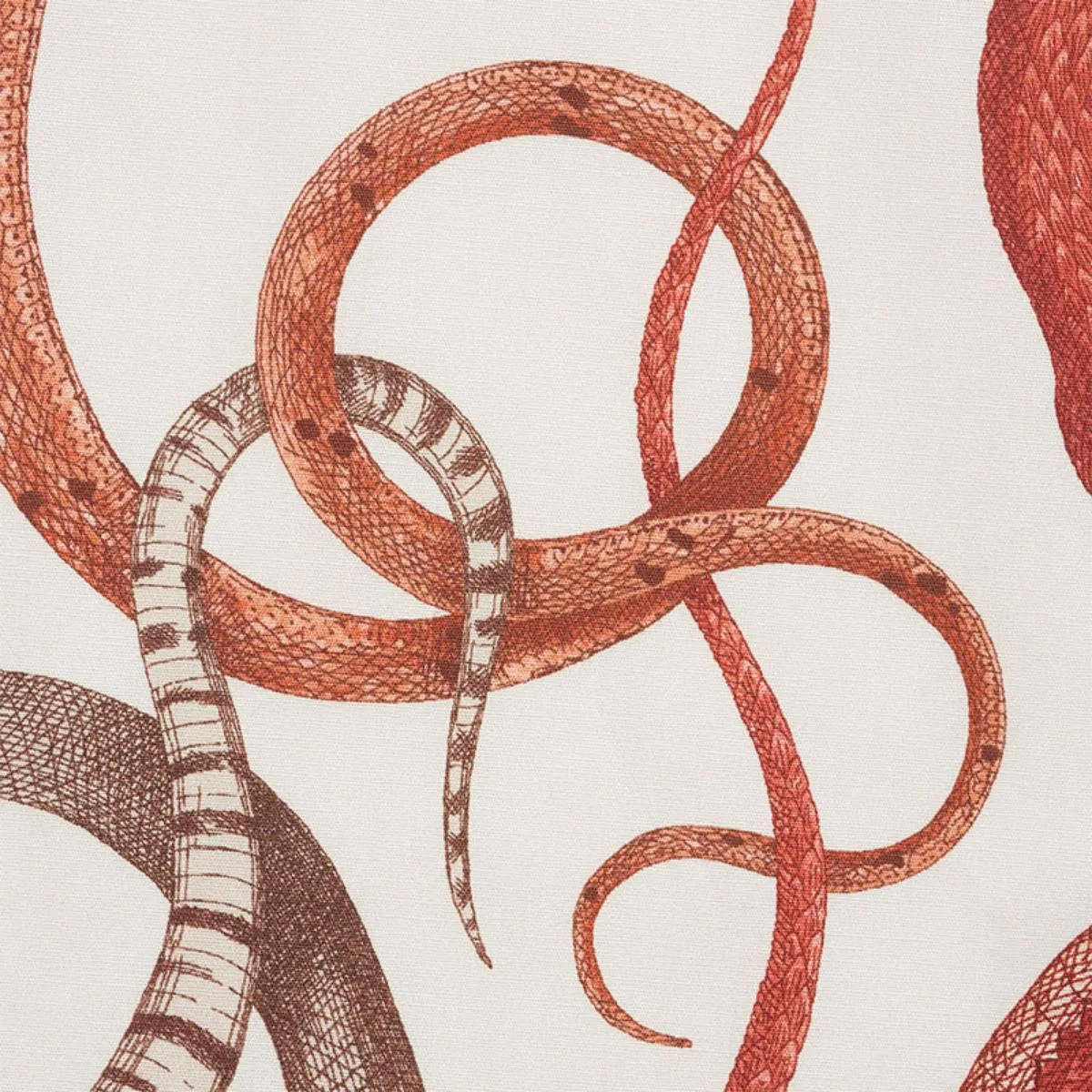 Schumacher 177661 Giove Ruby & Garnet fabric swatch