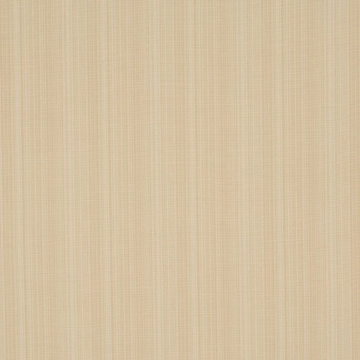 Schumacher 83722 Gracie Solid Strié Neutral fabric swatch