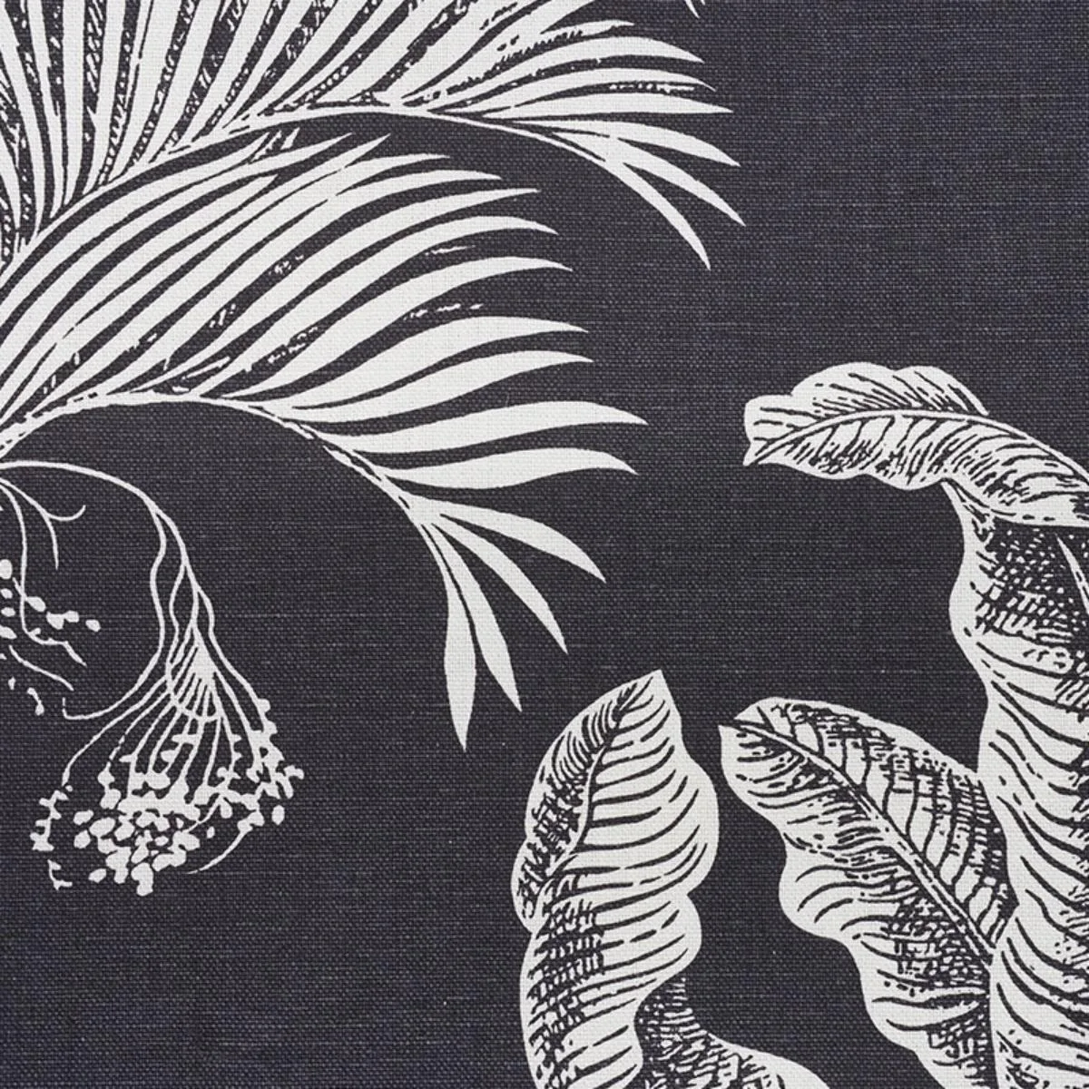 Schumacher 178003 Grand Palms Carbon fabric swatch