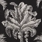 Schumacher 180962 Grand Palms Indoor/Outdoor Black fabric swatch