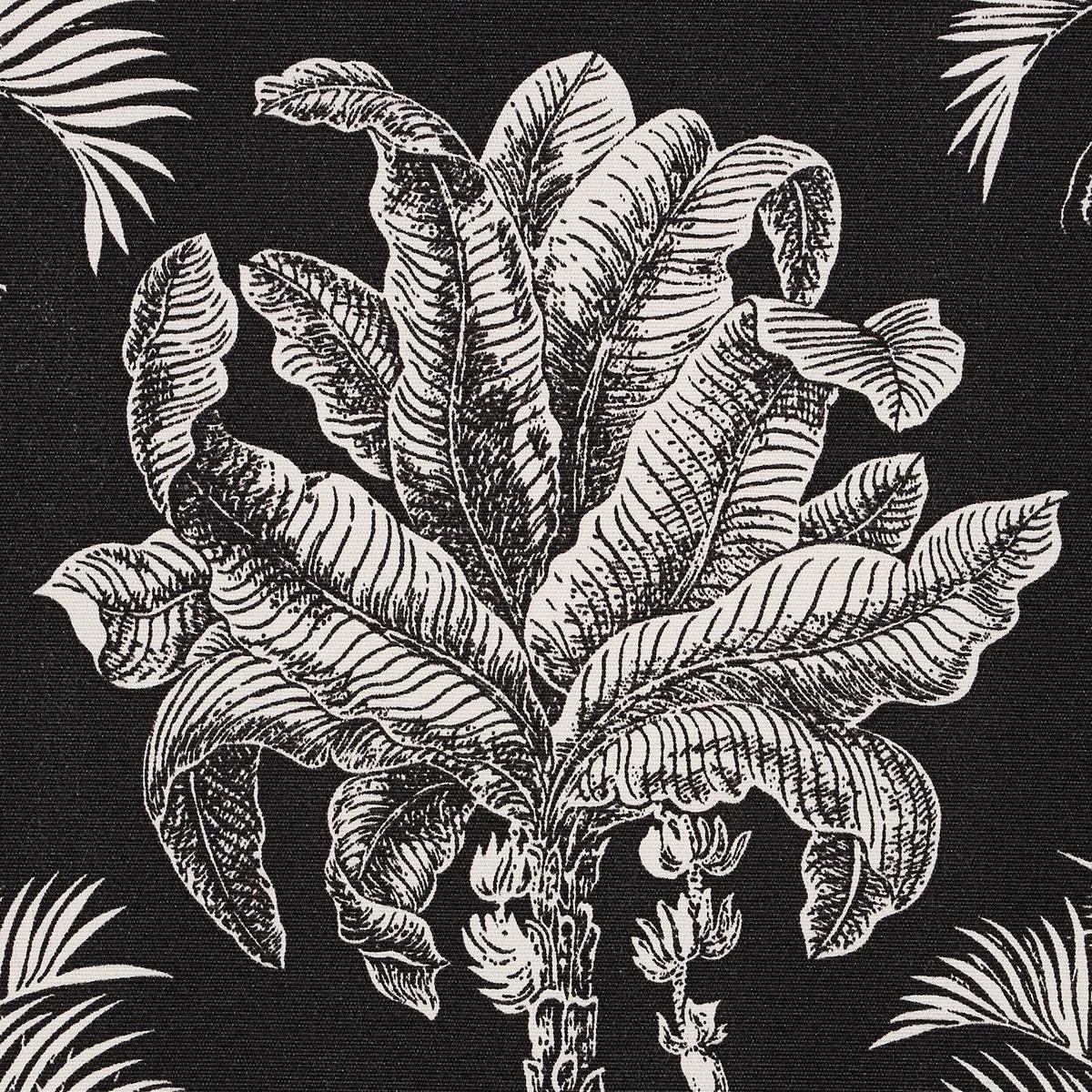 Schumacher 180962 Grand Palms Indoor/Outdoor Black fabric swatch