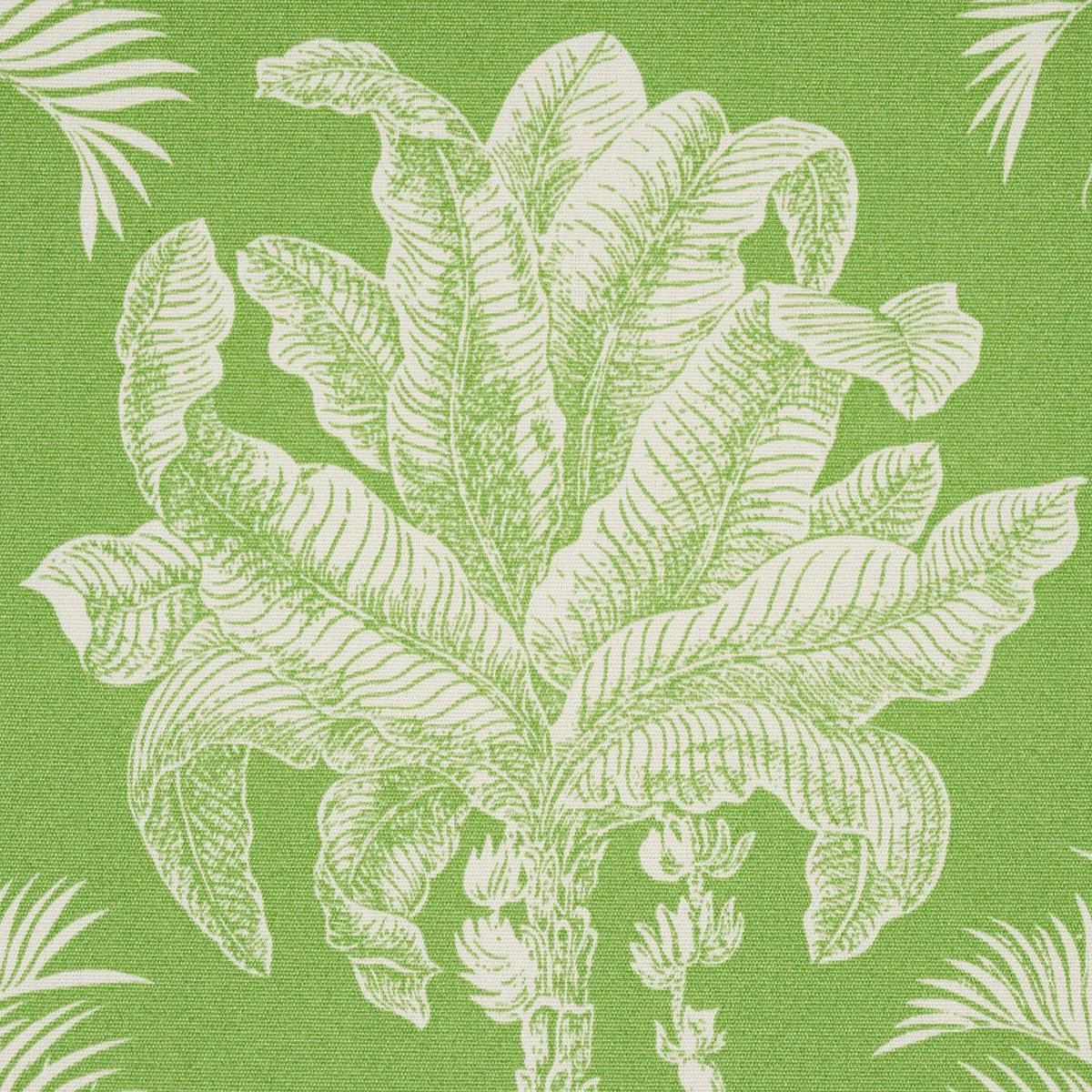 Schumacher 180960 Grand Palms Indoor/Outdoor Green fabric swatch