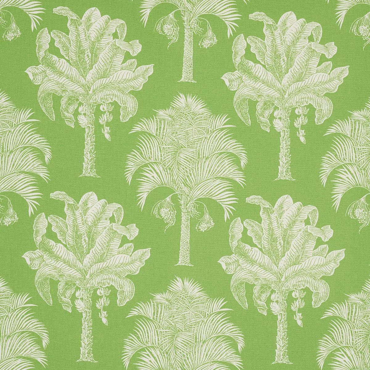 Schumacher 180960 Grand Palms Indoor/Outdoor Green fabric swatch