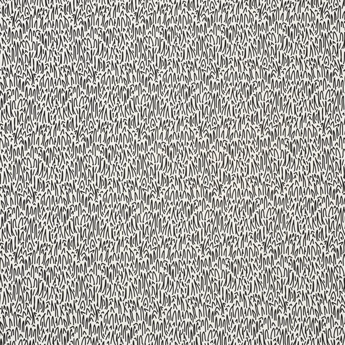 Schumacher 176602 Grass Ii Indoor/Outdoor Black fabric swatch