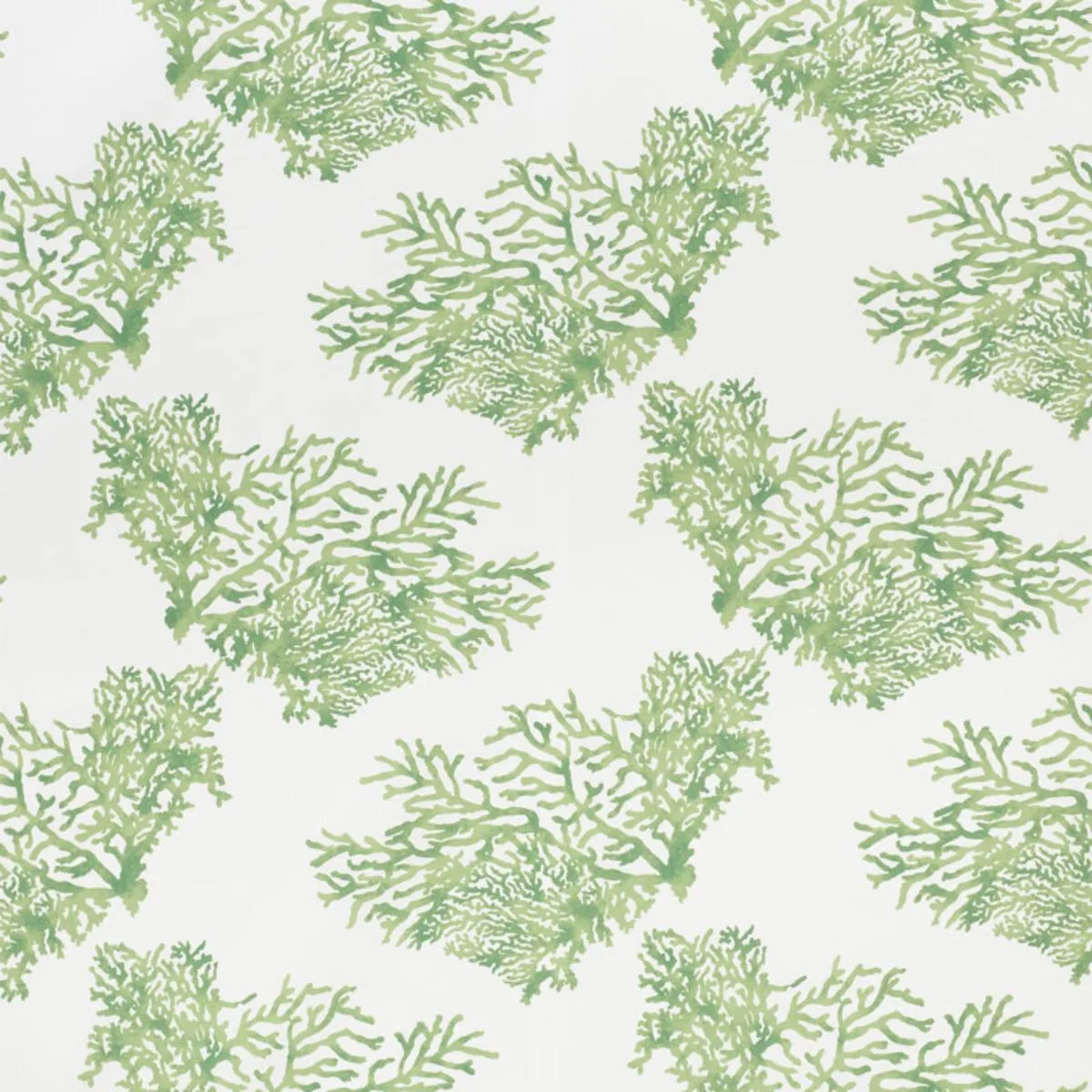 Schumacher 178291 Great Barrier Reef Ii Green fabric swatch