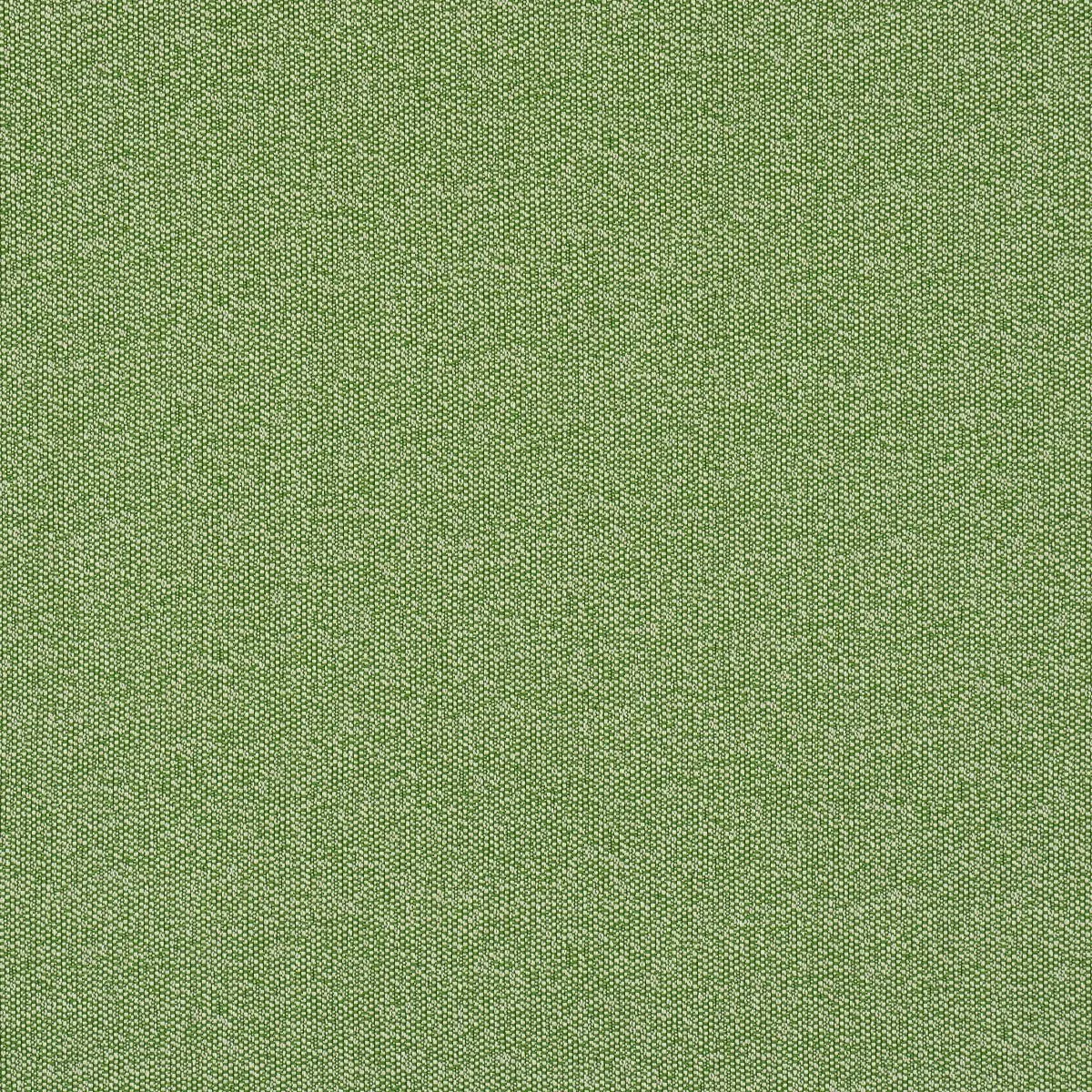 Schumacher 84341 Gus Indoor/Outdoor Grass fabric swatch
