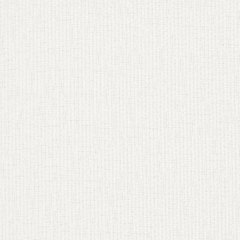 Schumacher 84347 Gus Indoor/Outdoor White fabric swatch