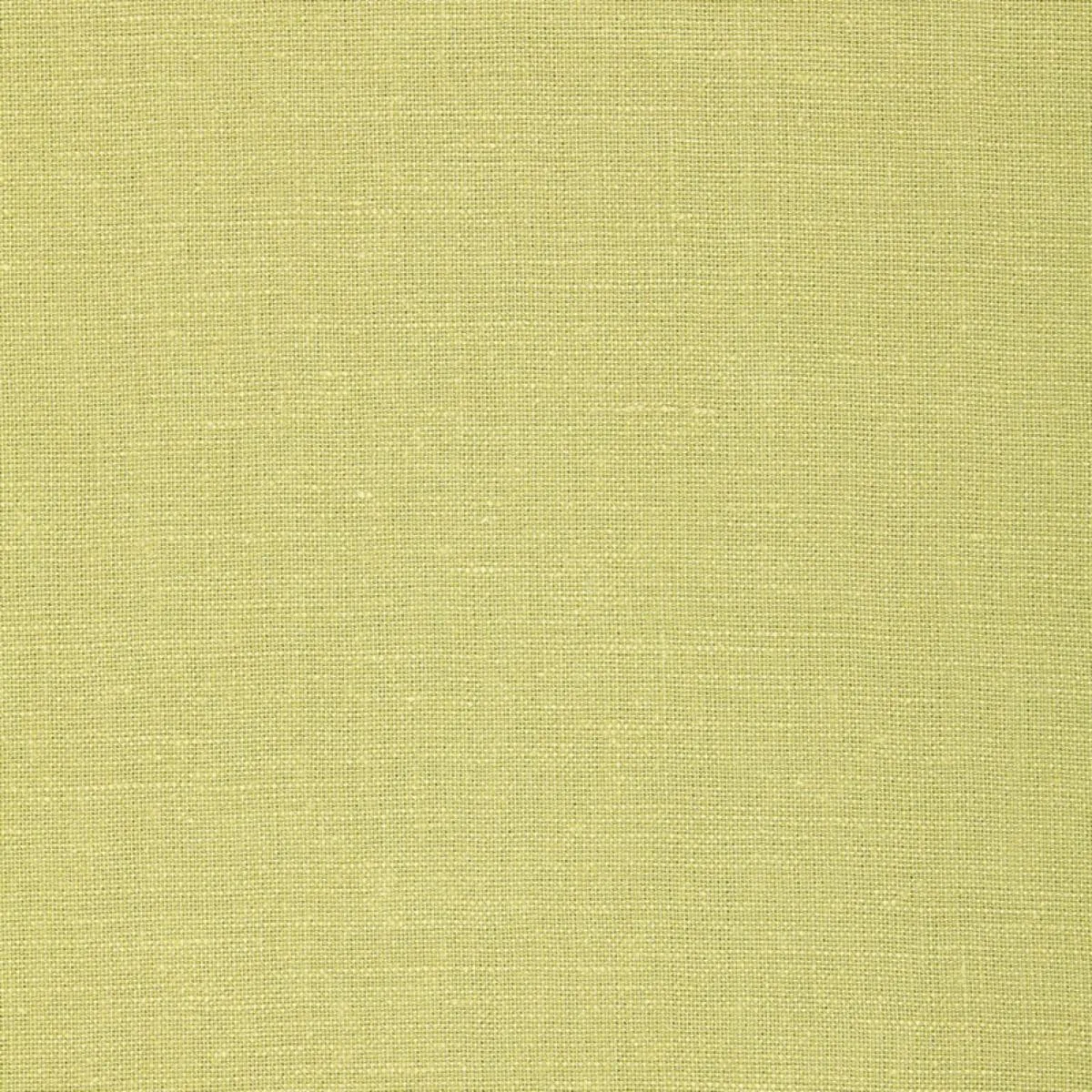 Schumacher 64495 Gweneth Linen Fern fabric swatch