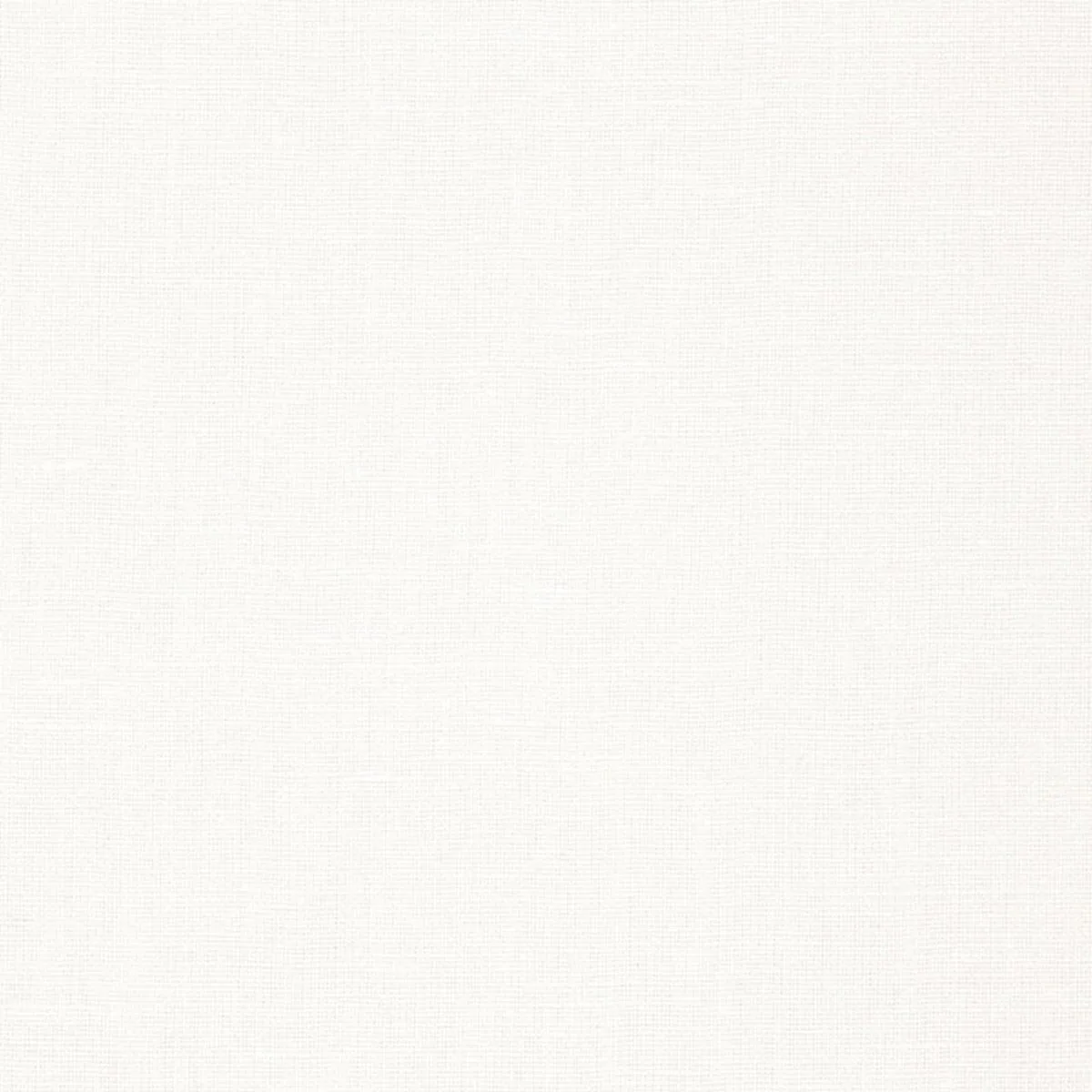 Schumacher 64497 Gweneth Linen White fabric swatch