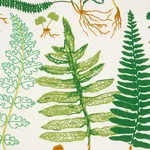 Schumacher 180210 Halcott Indoor/Outdoor Green fabric swatch