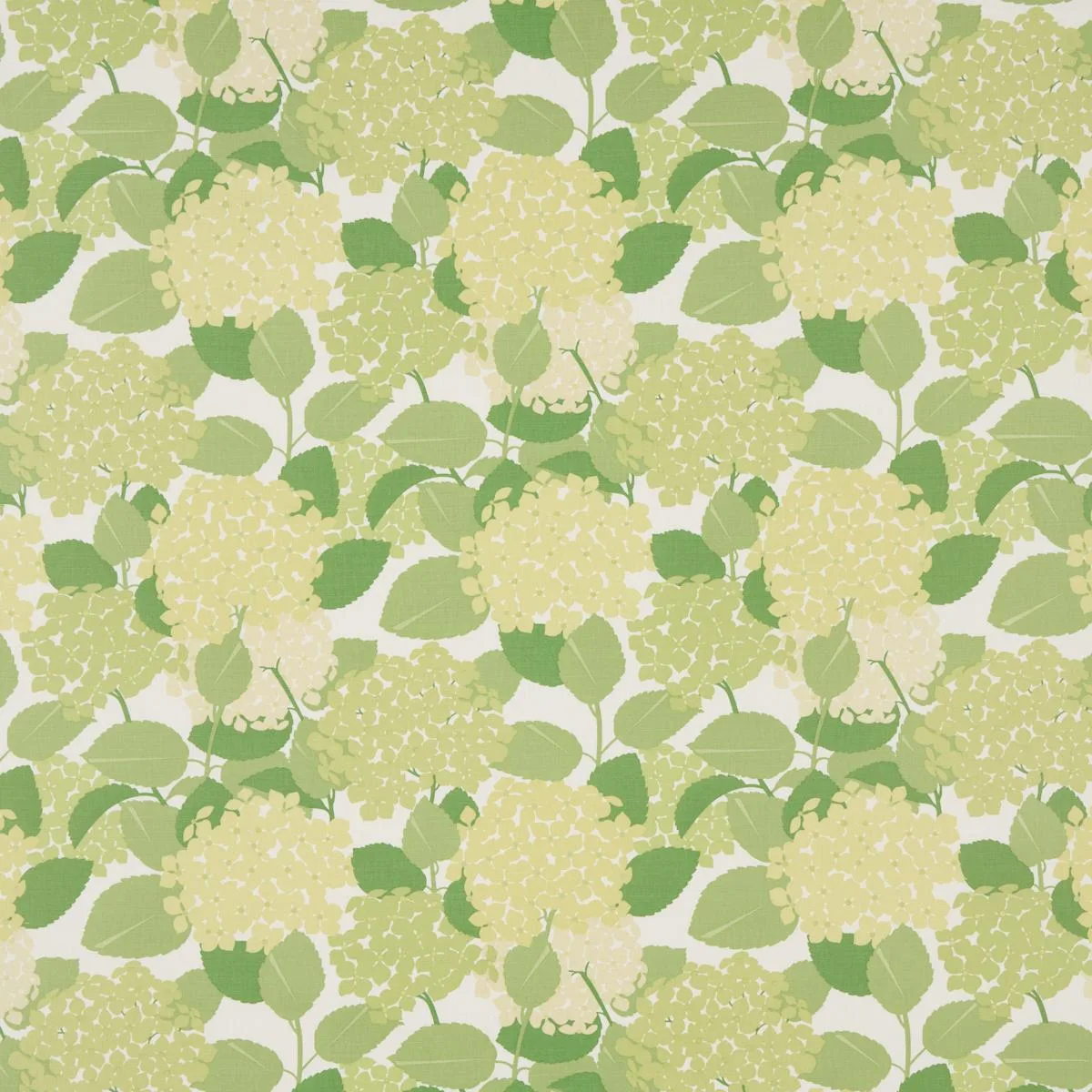 Schumacher 177584 Hydrangea Green fabric swatch