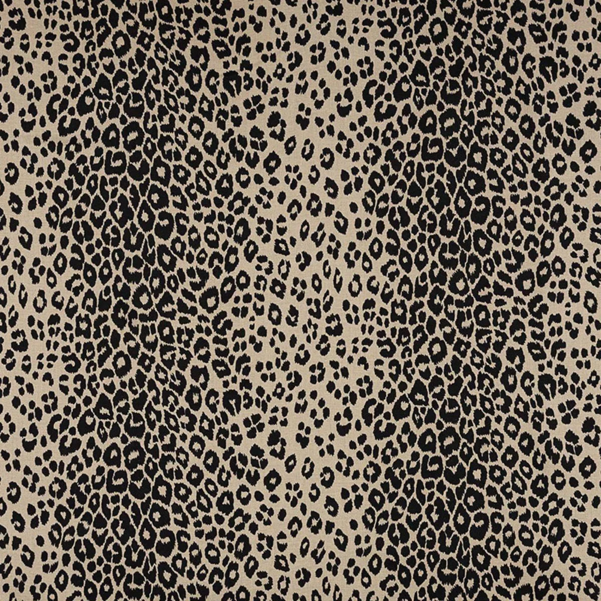Schumacher 175725 Iconic Leopard Ebony/Natural fabric swatch