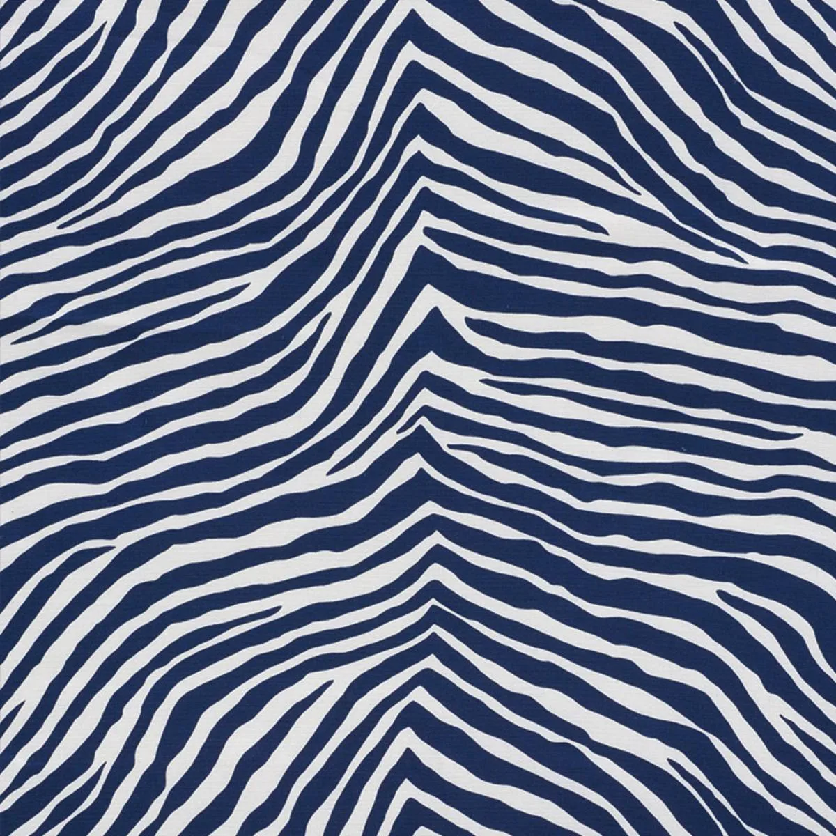 Schumacher 177440 Iconic Zebra Blue fabric swatch