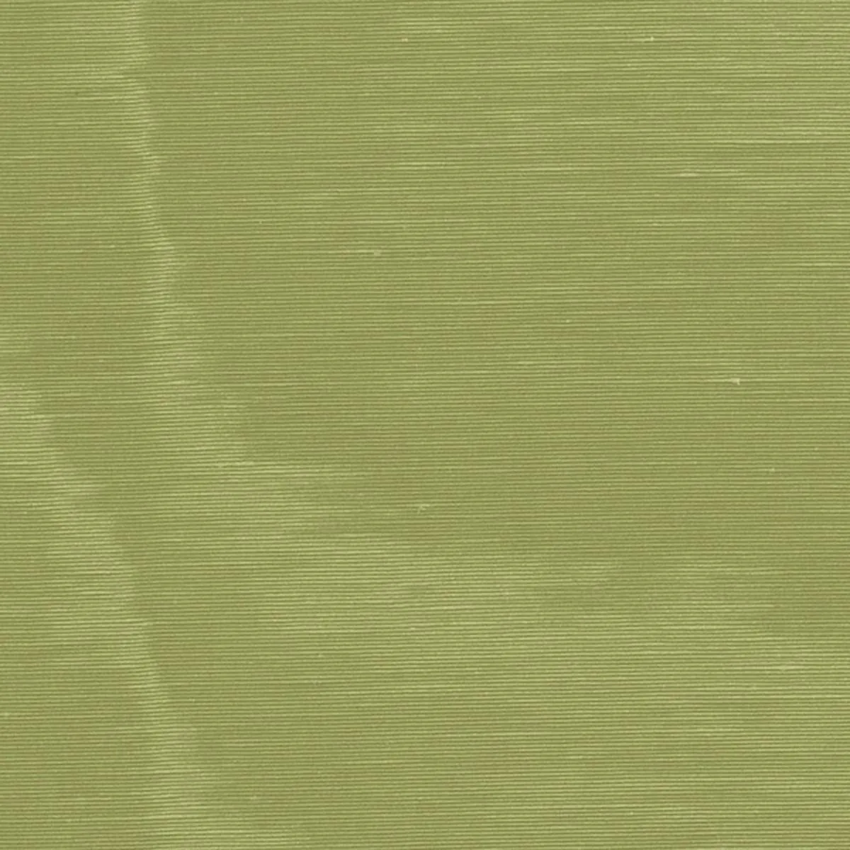 Schumacher 70409 Incomparable Moiré Olive fabric swatch