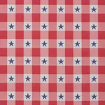 Schumacher 87570 Independence Plaid Americana fabric swatch