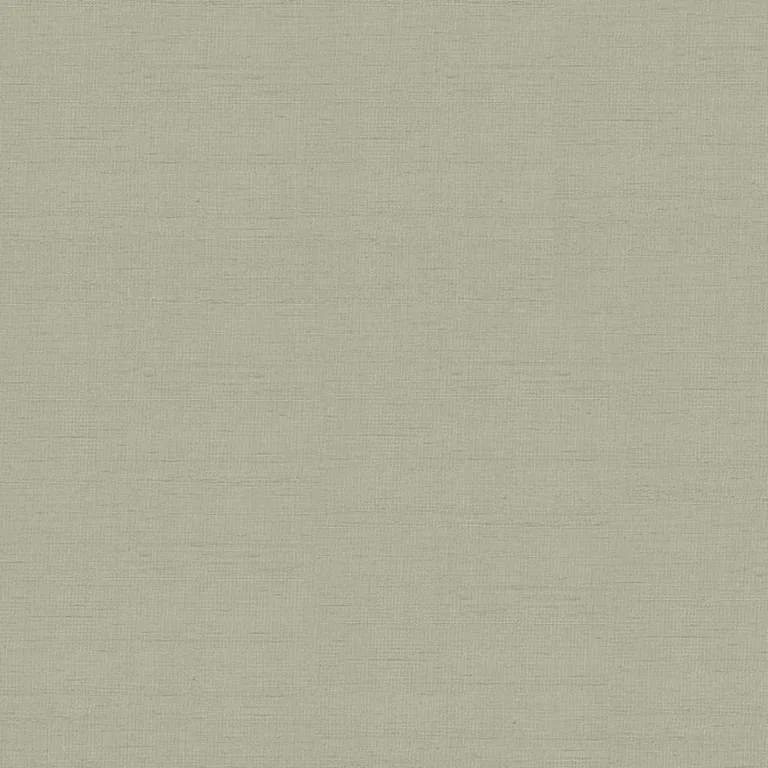 Schumacher 3123011 Indochine Stone fabric swatch