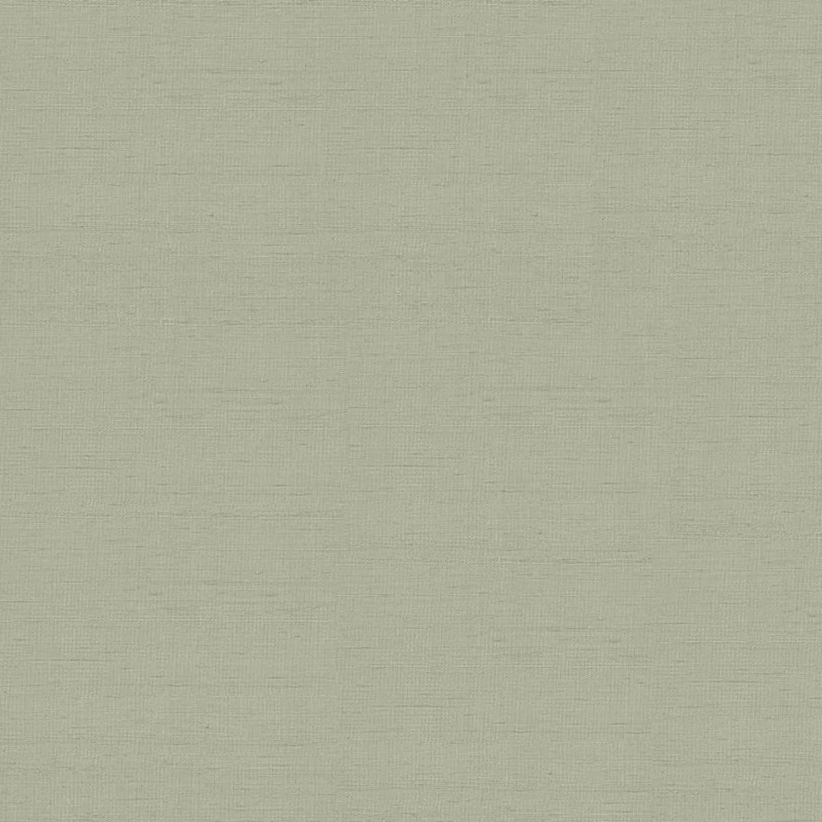 Schumacher 3123011 Indochine Stone fabric swatch