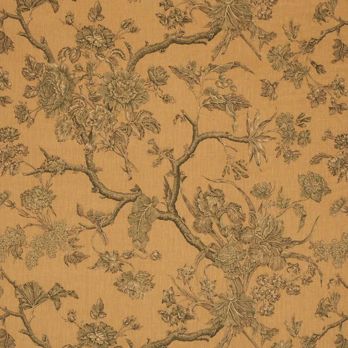 Schumacher 182830 Inverness Garden Document fabric swatch