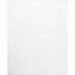 Schumacher 55550 Isabella Sheer Embroidery Ivory fabric swatch