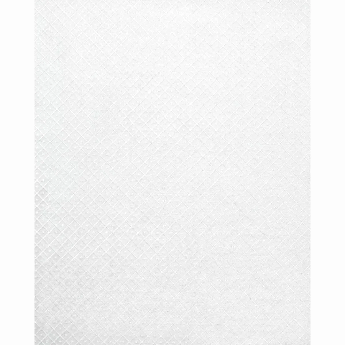 Schumacher 55550 Isabella Sheer Embroidery Ivory fabric swatch