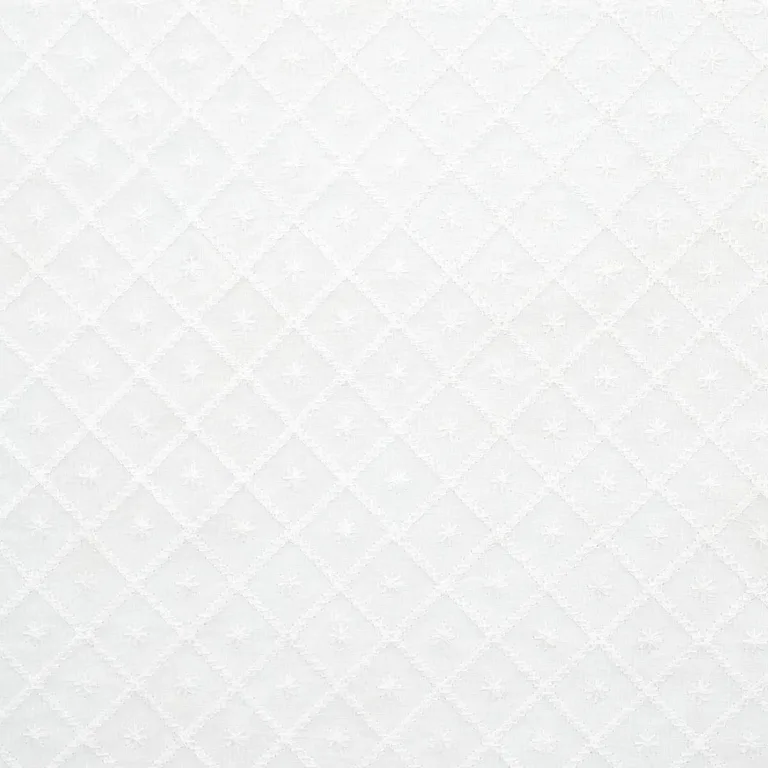 Schumacher 55550 Isabella Sheer Embroidery Ivory fabric swatch