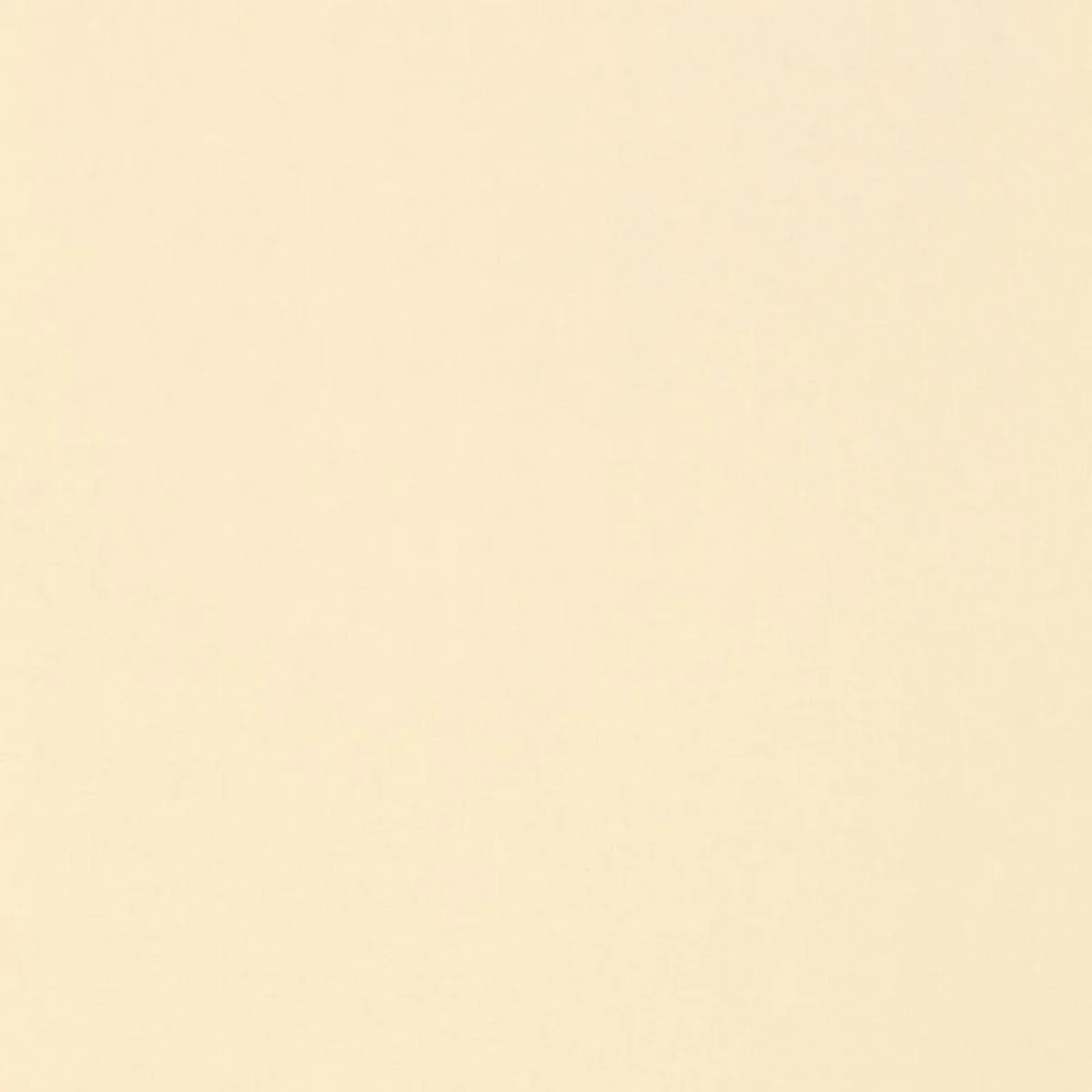 Schumacher 64379 Isolde Cotton Weave Chamois fabric swatch