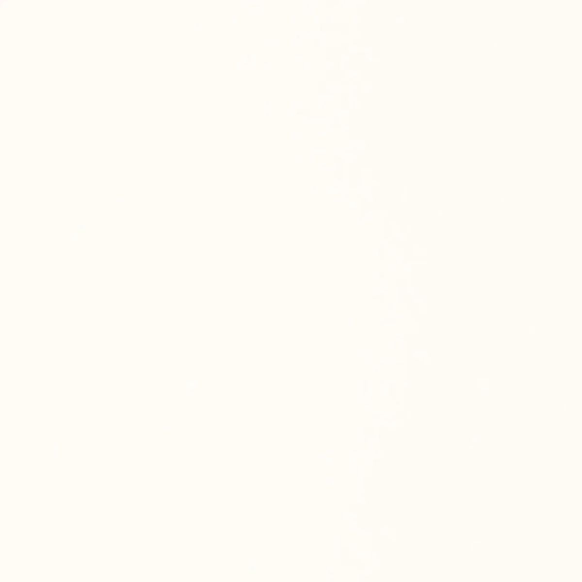 Schumacher 64374 Isolde Cotton Weave Winter White fabric swatch