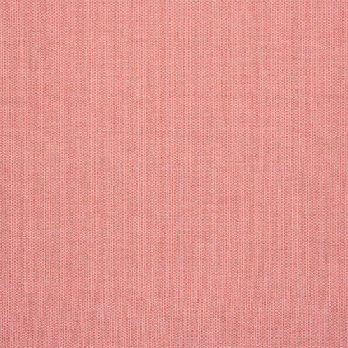 Schumacher 78871 Ispa Hand Woven Plain Blush fabric swatch