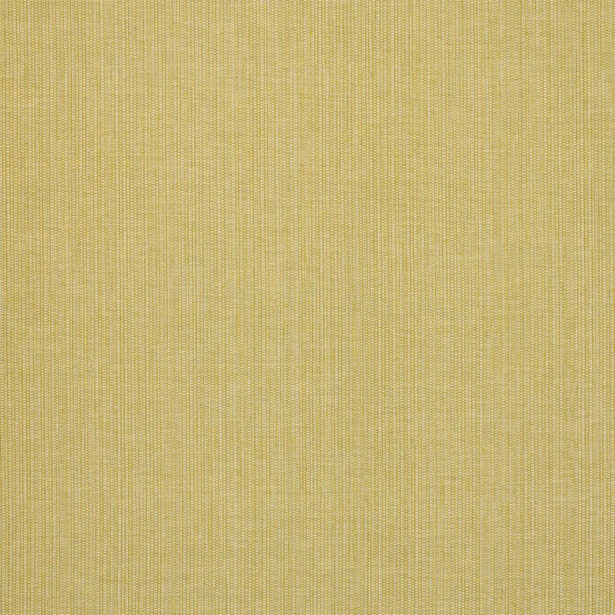 Schumacher 78874 Ispa Hand Woven Plain Verde fabric swatch