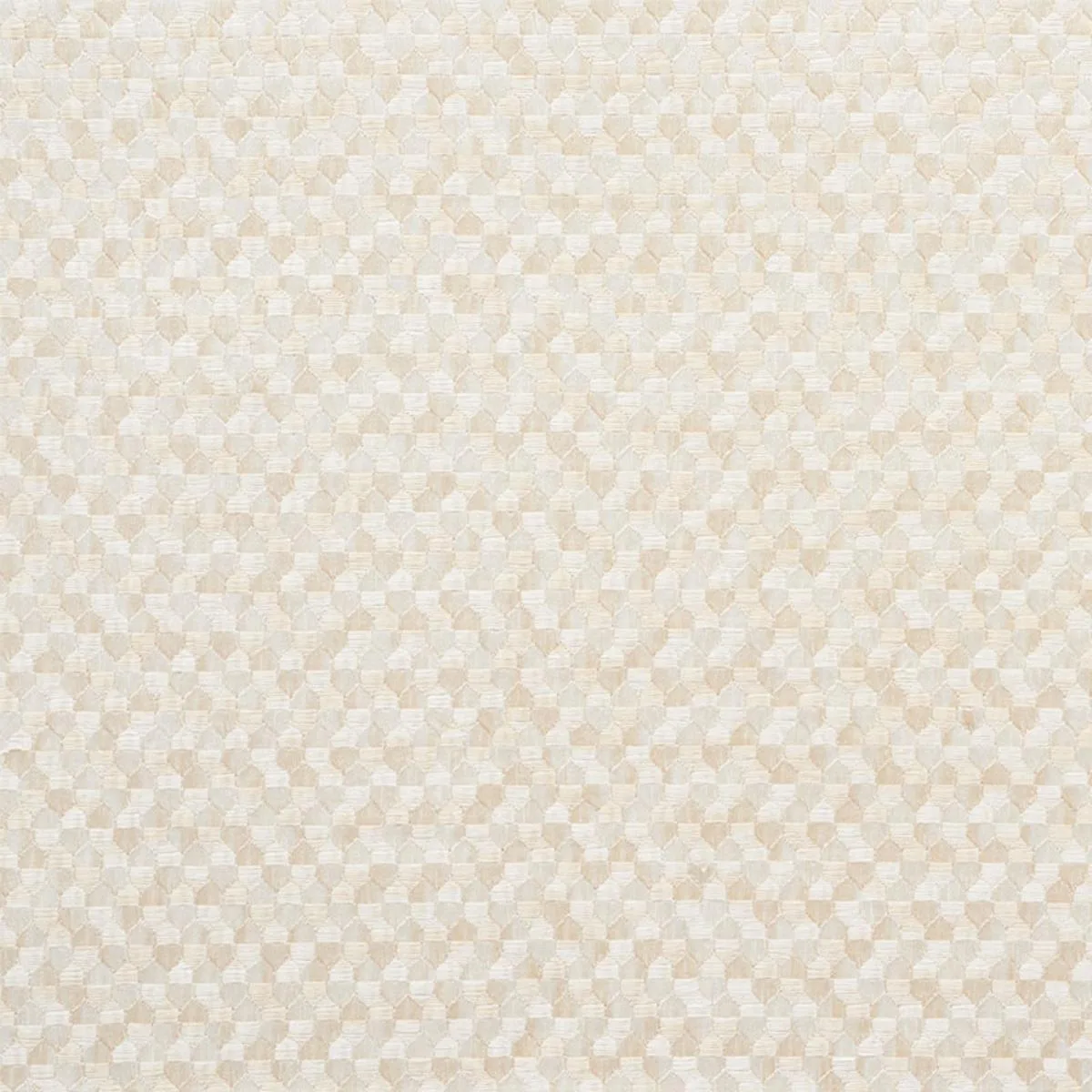 Schumacher 75120 Ivins Embroidery Ivory fabric swatch