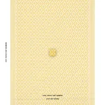 Schumacher 178434 Jake Mimosa fabric swatch