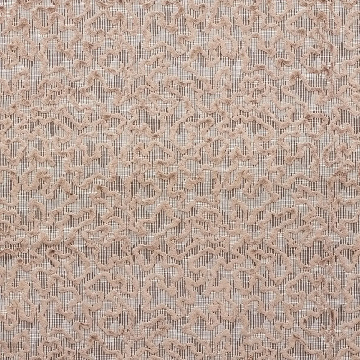 Schumacher 75221 Janis Velvet Brown fabric swatch