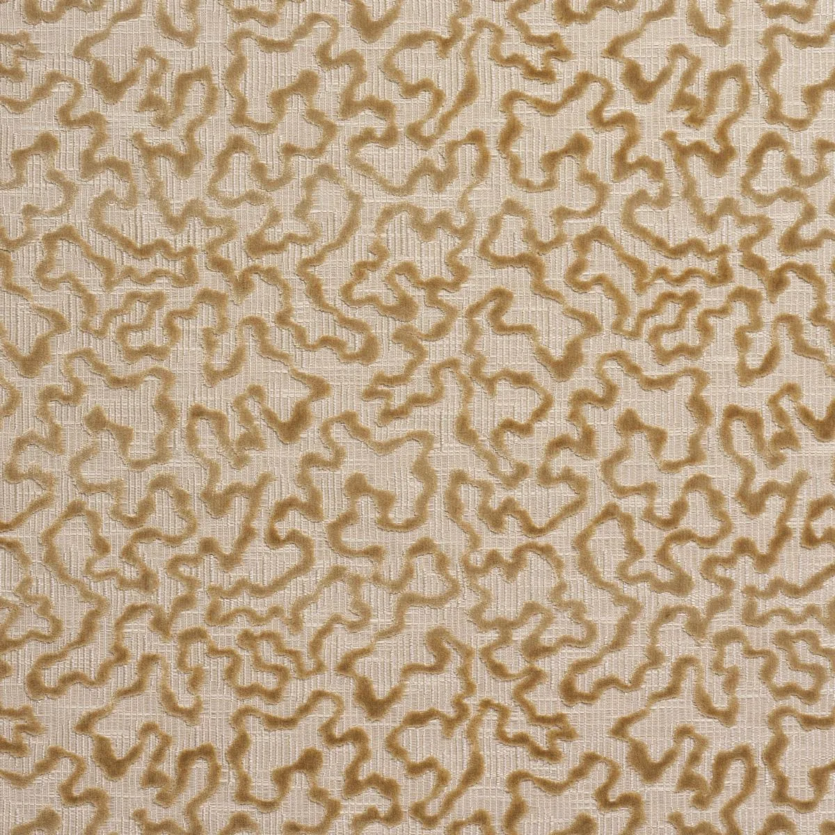Schumacher 75224 Janis Velvet Champagne fabric swatch